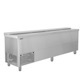 Réfrigérateur à boissons coffre BHC250X1 – Tefcold