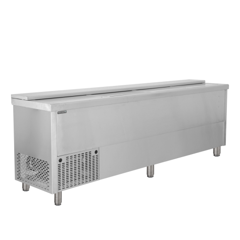 Réfrigérateur à boissons coffre BHC250X1 – Tefcold
